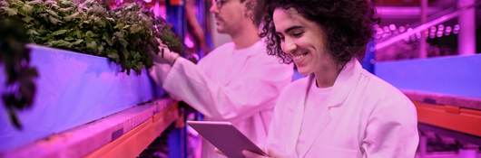 Horticultural scientists check plant growth under the lighting system in a greenhouse.